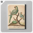 アートパネル-Two Parrots on a Barren Tree
 - イェール大学アートギャラリー Canvas.