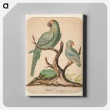 アートパネル-Two Parrots on a Barren Tree
 - イェール大学アートギャラリー Canvas.