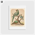アートポストカード-Two Parrots on a Barren Tree
 - イェール大学アートギャラリー Postcard.