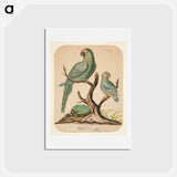 アートポストカード-Two Parrots on a Barren Tree
 - イェール大学アートギャラリー Postcard.