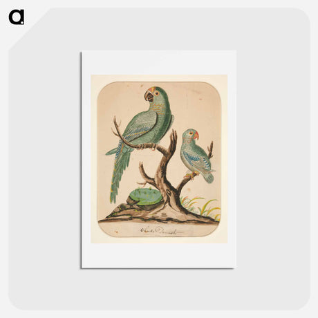 アートポストカード-Two Parrots on a Barren Tree
 - イェール大学アートギャラリー Postcard.