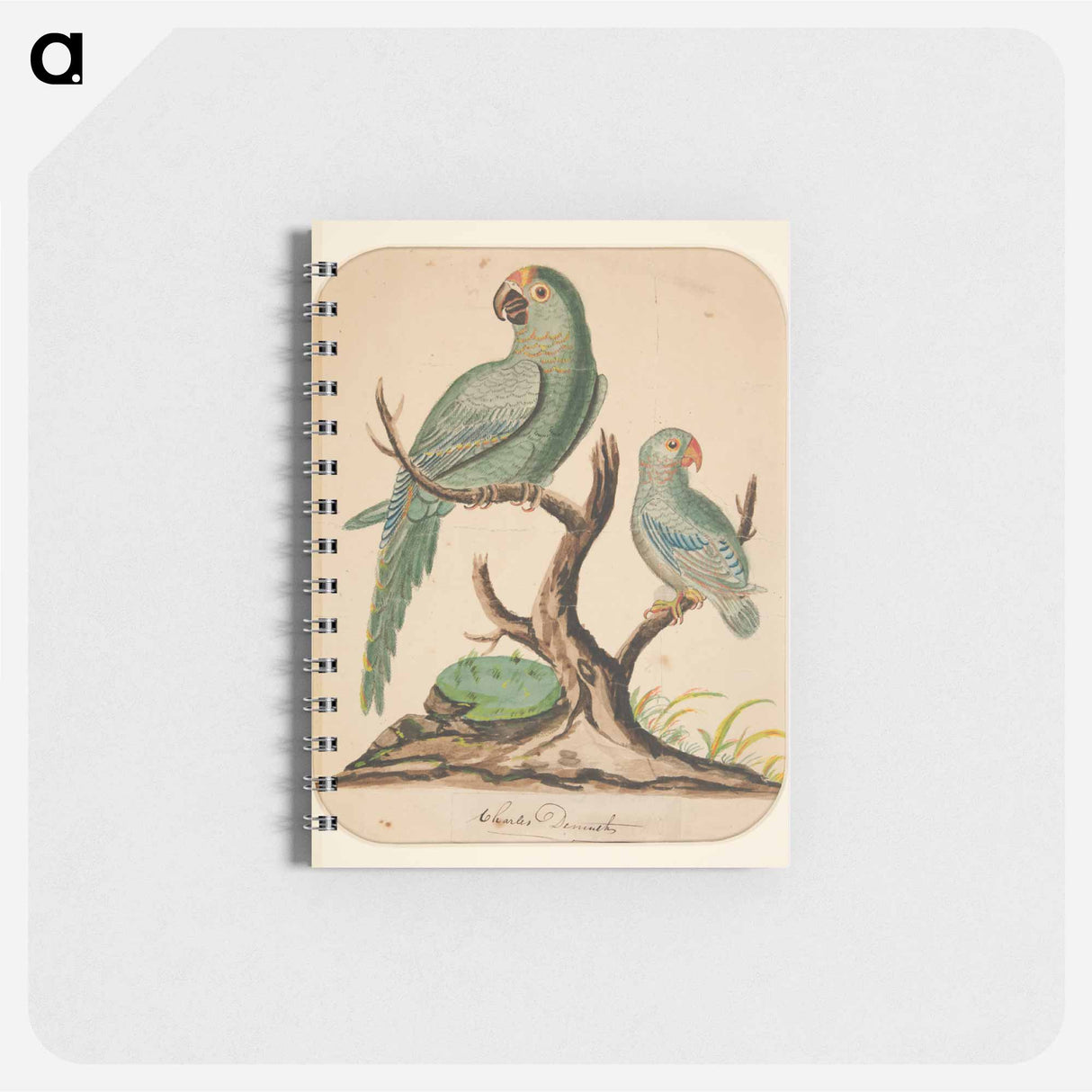 アートメモ帳-Two Parrots on a Barren Tree
 - イェール大学アートギャラリー Memo.