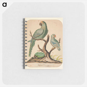アートメモ帳-Two Parrots on a Barren Tree
 - イェール大学アートギャラリー Memo.