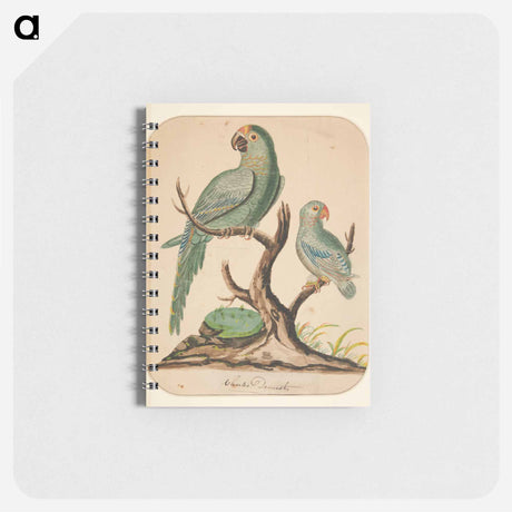 アートメモ帳-Two Parrots on a Barren Tree
 - イェール大学アートギャラリー Memo.