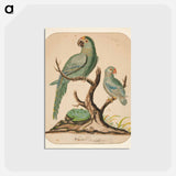 アートポストカード-Two Parrots on a Barren Tree
 - イェール大学アートギャラリー Postcard.