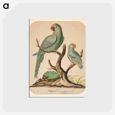 アートポストカード-Two Parrots on a Barren Tree
 - イェール大学アートギャラリー Postcard.