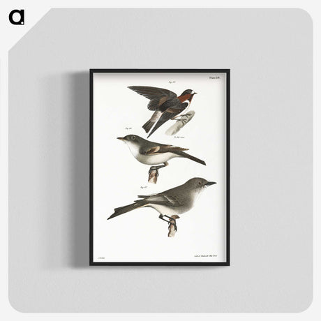 2-25_Zoology-of-New-York_blk-crop
