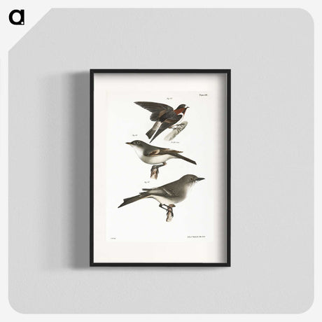 2-25_Zoology-of-New-York_blk