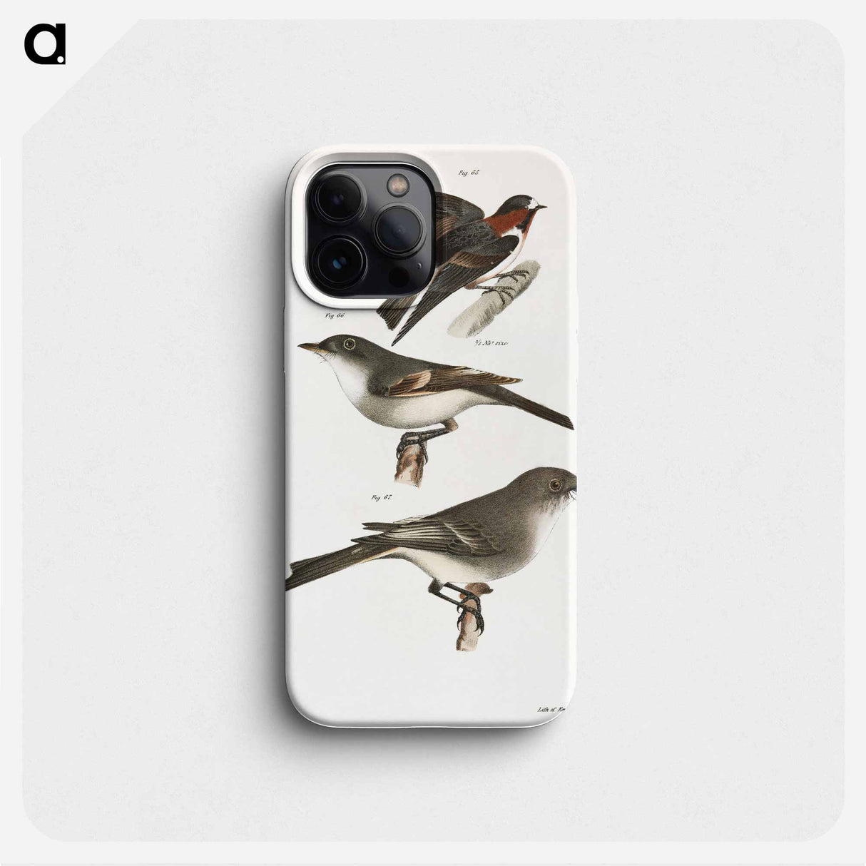 The Cliff Swallow - ニューヨークの動物学 Phone Case.