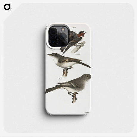 2-25_Zoology-of-New-York_phone