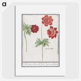 2-26_Anselmus-Boetius-de-Boodt_picture