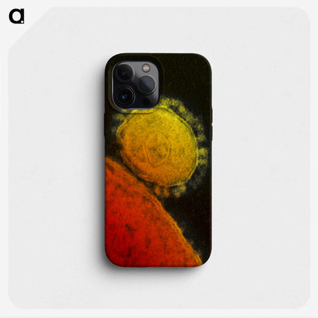 2-26_COVID-19_phone