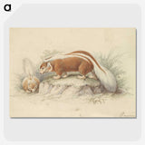 2-26_Charles-Hamilton-Smith_picture-crop