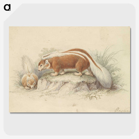 2-26_Charles-Hamilton-Smith_picture-crop