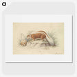 2-26_Charles-Hamilton-Smith_picture