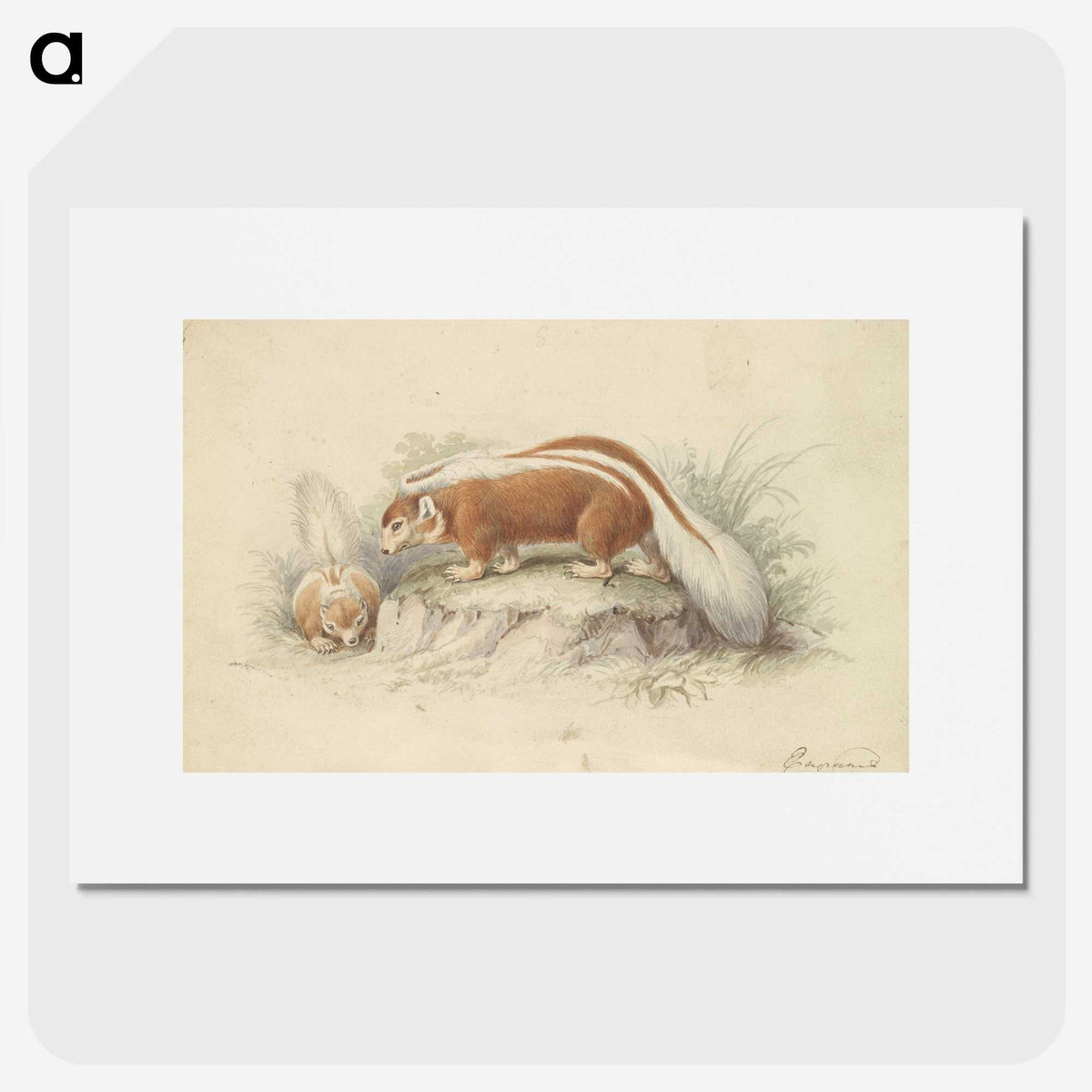 2-26_Charles-Hamilton-Smith_picture