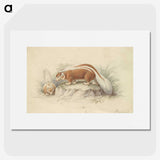 2-26_Charles-Hamilton-Smith_picture