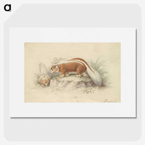 2-26_Charles-Hamilton-Smith_picture
