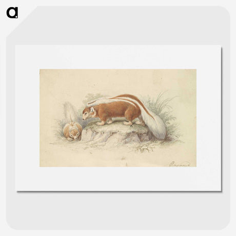 2-26_Charles-Hamilton-Smith_picture