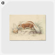2-26_Charles-Hamilton-Smith_postcard