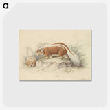 2-26_Charles-Hamilton-Smith_postcard