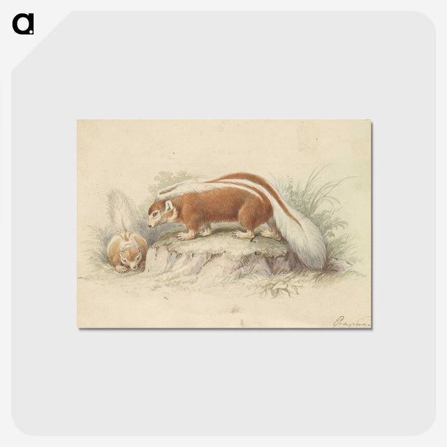 2-26_Charles-Hamilton-Smith_postcard