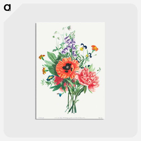アートポストカード-Bouquet of Foxglove, Clematis, Pansy, Peony, Poppy, and Yellow Day Lily
 - クリーブランド美術館 Postcard.