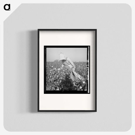 2-26_Dorothea-Lange_blk