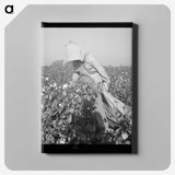 2-26_Dorothea-Lange_canvas