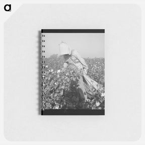 アートメモ帳-Cotton picker - ドロテア ラング Memo.