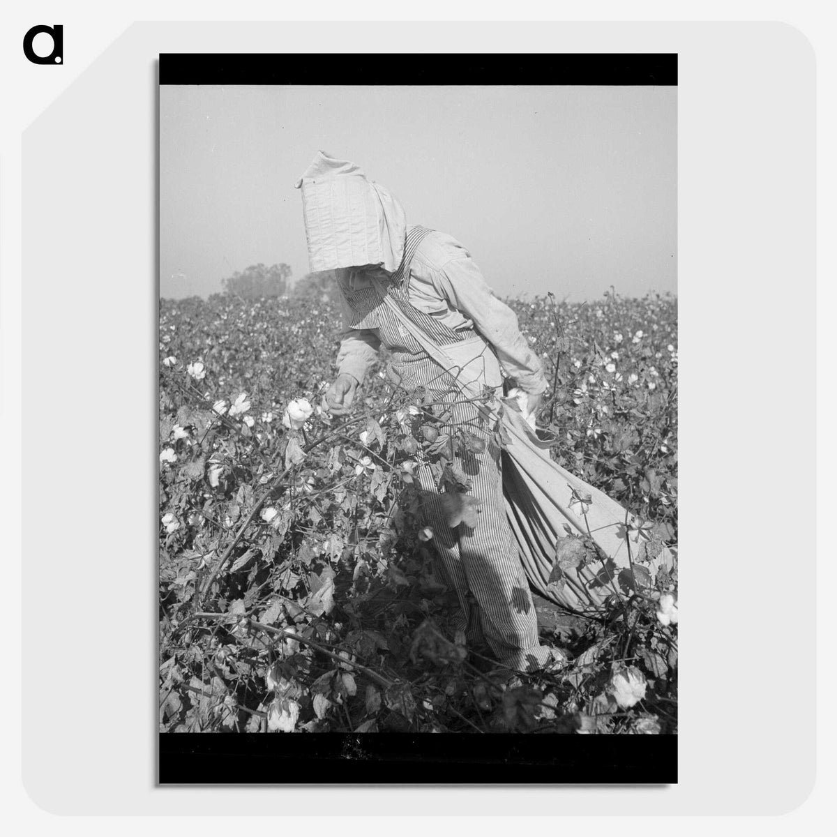 2-26_Dorothea-Lange_picture-crop