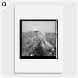 2-26_Dorothea-Lange_picture