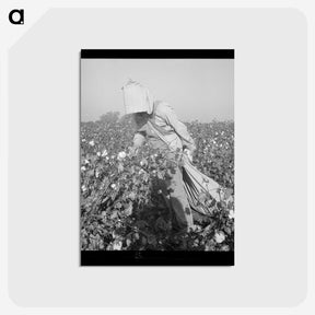 2-26_Dorothea-Lange_postcard