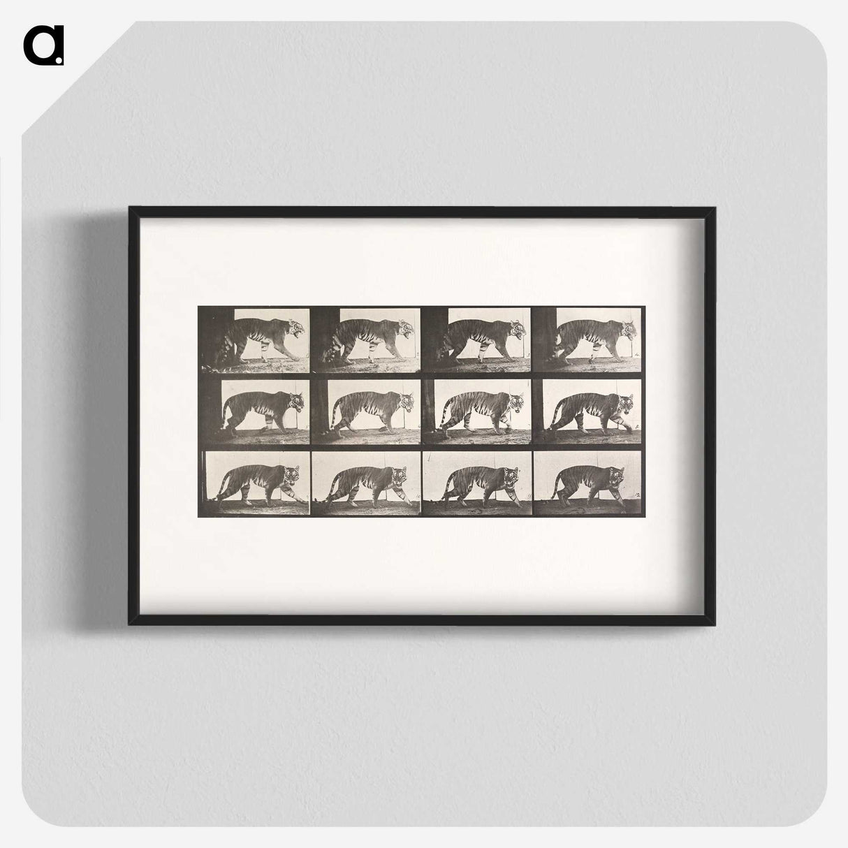 2-26_Eadweard-Muybridge_blk