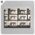 2-26_Eadweard-Muybridge_canvas