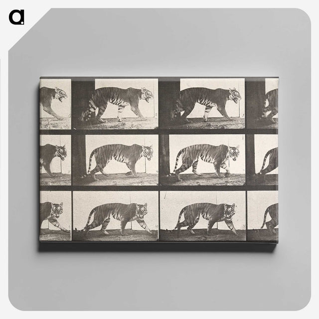 2-26_Eadweard-Muybridge_canvas
