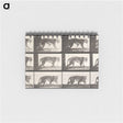 2-26_Eadweard-Muybridge_memo