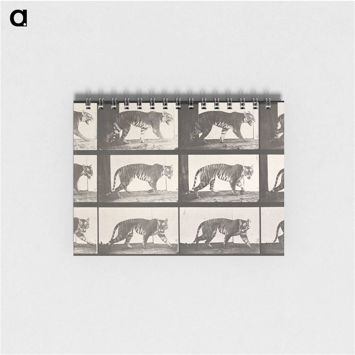 2-26_Eadweard-Muybridge_memo