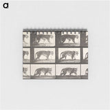 2-26_Eadweard-Muybridge_memo