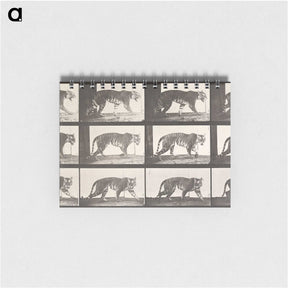 2-26_Eadweard-Muybridge_memo