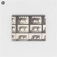 アートメモ帳-Animal Locomotion Plate 729
 - エドワード マイブリッジ Memo.