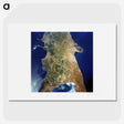 2-26_Earth-from-Above_picture