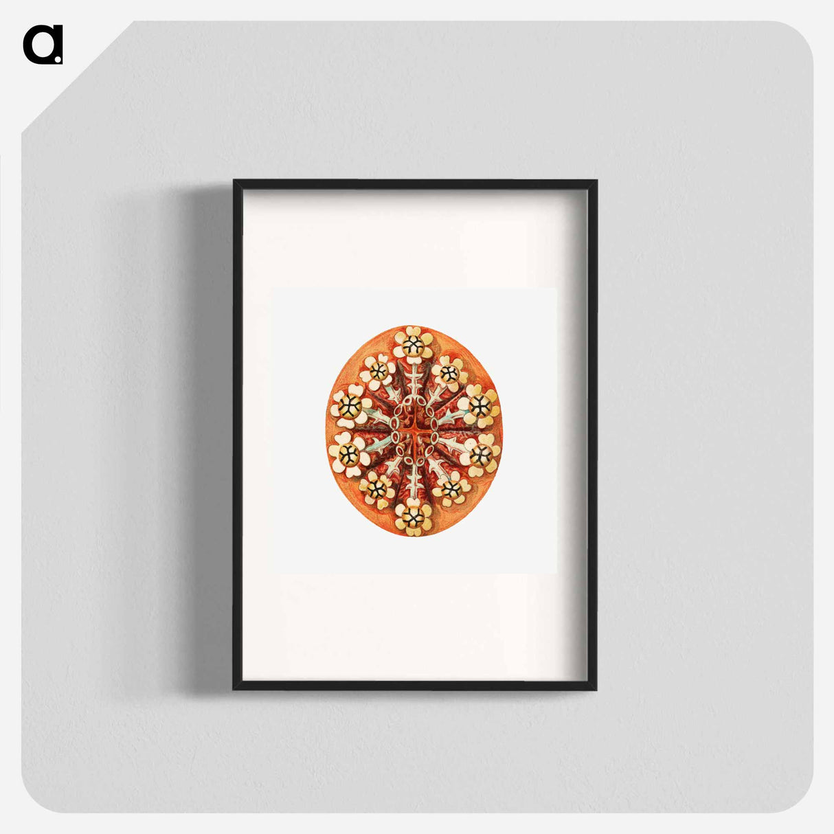 Colorful vintage tunicate illustration - エルンスト ヘッケル Poster.