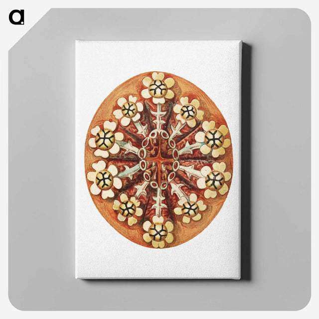2-26_Ernst-Haeckel_canvas
