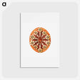 アートポストカード-Colorful vintage tunicate illustration - エルンスト ヘッケル Postcard.