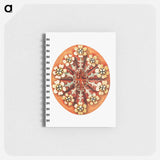 アートメモ帳-Colorful vintage tunicate illustration - エルンスト ヘッケル Memo.