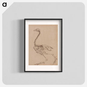 アートポスター-Fowl Skeleton, Lateral View
 - ジョージ スタッブス Poster.