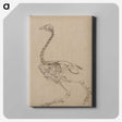 2-26_George-Stubbs_canvas