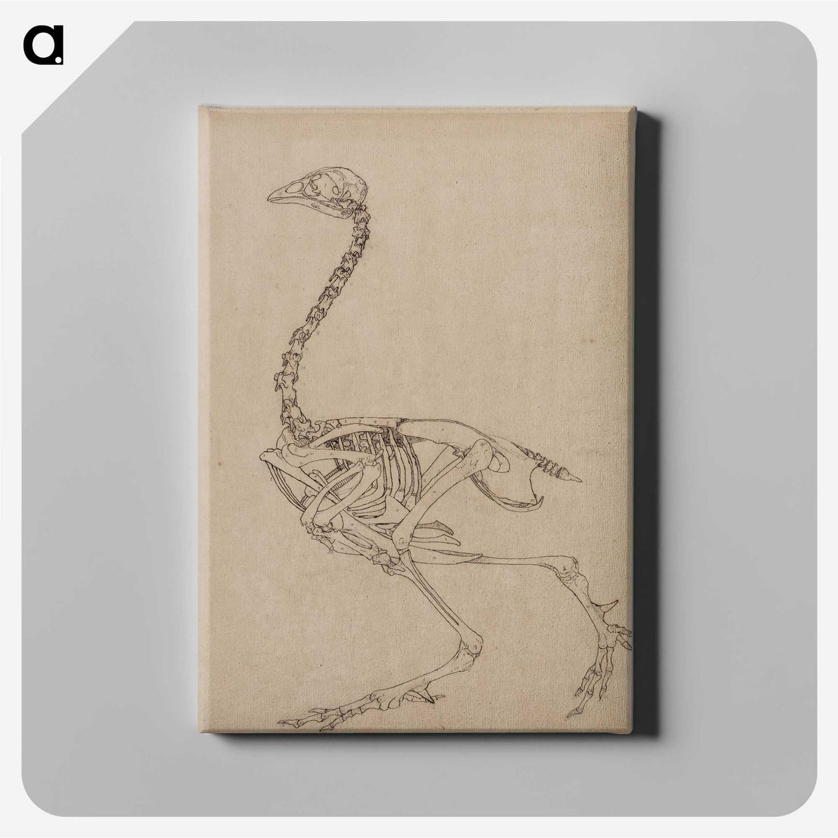 2-26_George-Stubbs_canvas
