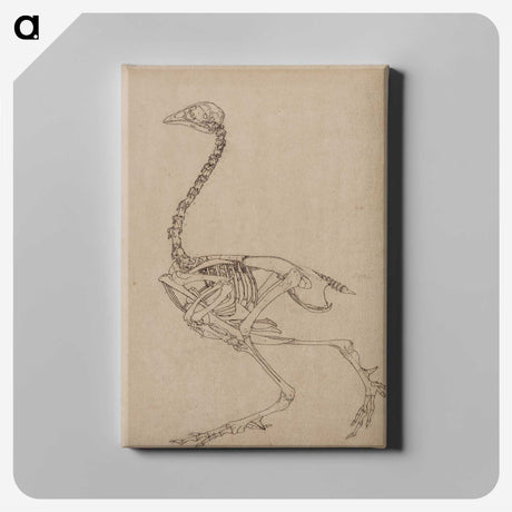 2-26_George-Stubbs_canvas